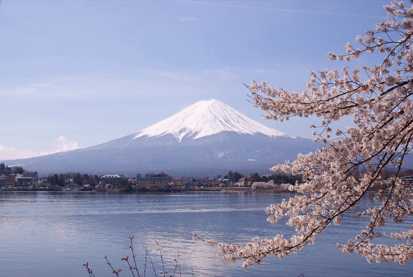 El monte Fuji nevado detrás del lago Kawaguchi, con cerezos en flor